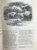 1859年 莎士比亚作品集（卷2） 约翰·吉尔伯特数百幅插图 皮装16开 商品缩略图13