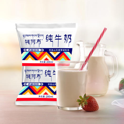 天境雪域纯牛奶 青海祁连天境牧场营养早餐奶 200ml*12袋 商品图4