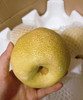 甜度高，皮薄｜蜂蜜脆梨 商品缩略图1