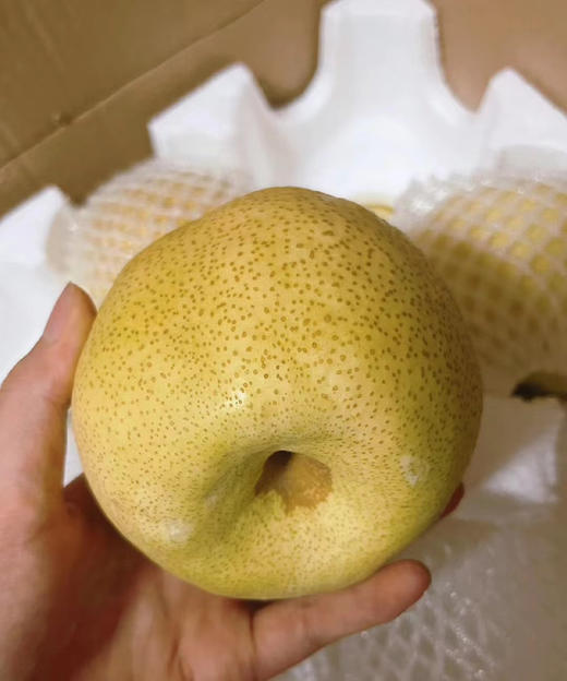 甜度高，皮薄｜蜂蜜脆梨 商品图1