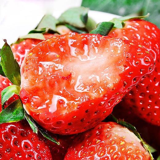 【顺丰空运】正宗丹东东港99奶油大草莓红颜孕妇九九牛奶草莓 新鲜水果 商品图4