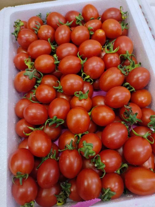 圣女果柿子2斤 商品图2