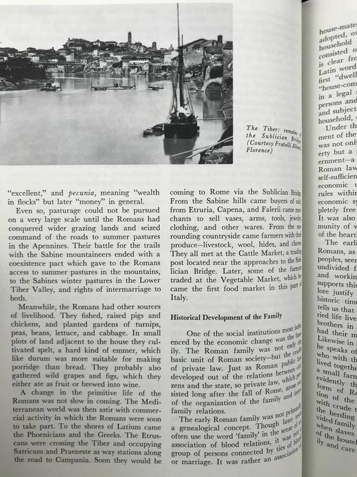 罗马民族史 约百幅插图 精装16开 商品图14