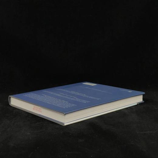 世界伟大建筑的漫游 数百幅插图 精装16开 商品图2