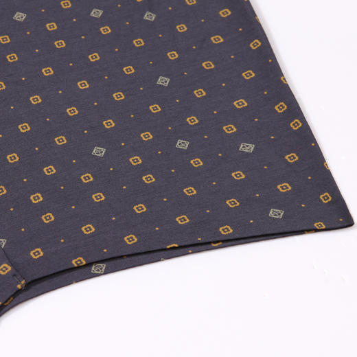 都市丽人都市锋尚铂金舒适内裤男莫代尔男士内裤平角内裤FK44A6 商品图6