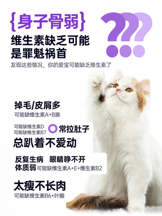 【预售15天】新宠之康复合维生素片100g（200片）犬猫通用 防掉毛去泪痕 商品图1