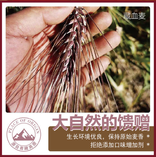 金谷力有机藏血麦经典礼盒套装【藏血麦+皮燕麦+早餐面】 商品图3