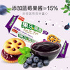 嘉士利果乐果香蓝莓味果酱饼干93g 商品缩略图0