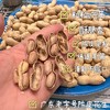 【闽西特产】正宗龙岩湿烤花生 商品缩略图11