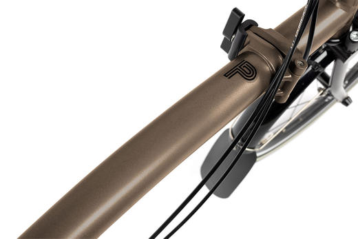 BROMPTON/Bronze Sky落日铜（MY24 P-Line) 商品图6