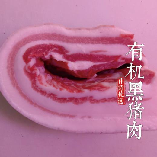 伟诗优选 | 有机黑猪肉 商品图3