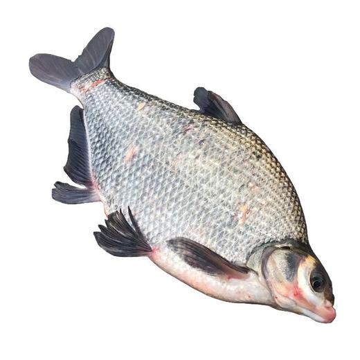 鲜活武昌鱼700g-850g/条 商品图0