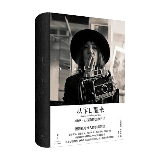从昨日醒来 帕蒂·史密斯 著 摄影 商品图4
