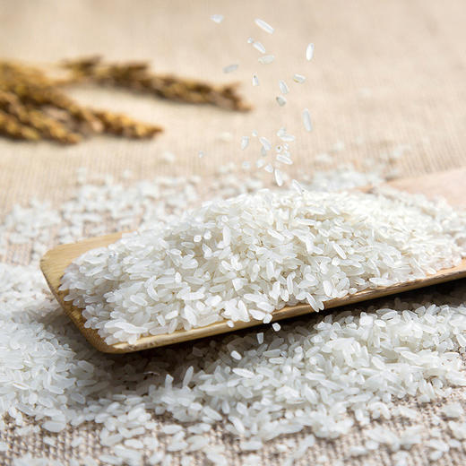 上林县陆回香上林特选大米5kg/袋 商品图2