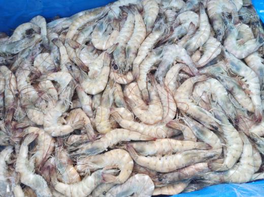 散王牌青虾4斤 商品图1