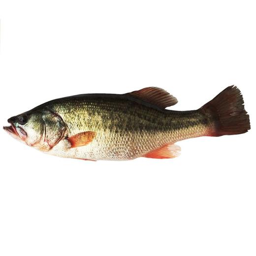 鲜活河鲈鱼约300g-400g/条 商品图0