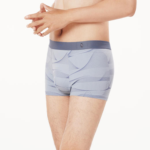 都市丽人都市锋尚日常休闲内裤男40S棉拉架男士内裤平角内裤FK4CC2 商品图2