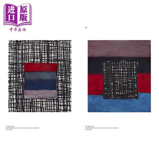 【中商原版】Sean Scully (Bilingual Ed) Song Of Colors 进口艺术 肖恩·斯库利（双语版）：色彩之歌  商品图4