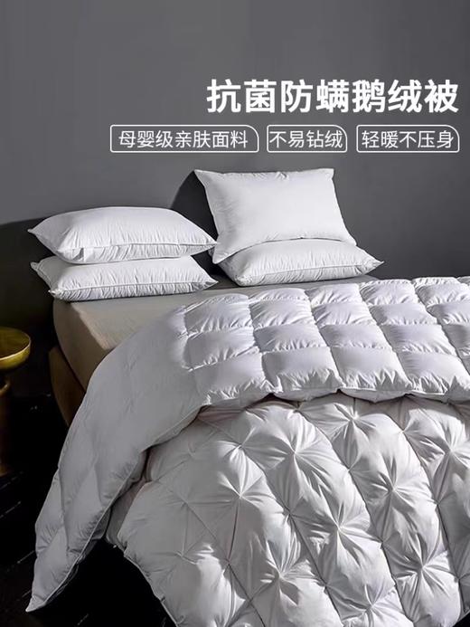 汉姿抗菌防螨鹅绒冬被芯 商品图0