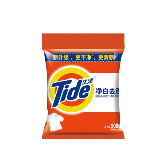 汰渍净白去渍洗衣粉508g/袋 商品图0