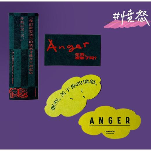 愤怒：一部关于情绪的冲突史(芭芭拉·H.罗森宛恩 著) 商品图0