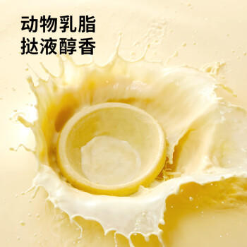 展艺醇香蛋挞液500g*2盒 早餐家用烘焙半成品葡式蛋挞液 商品图3