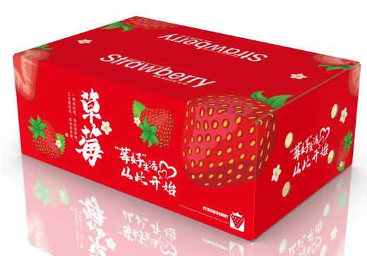 【顺丰包邮】攀枝花露天奶油草莓 红颜奶油新鲜大草莓 当季水果 商品图5