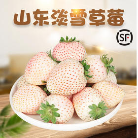 【顺丰空运】山东淡雪草莓 新鲜粉玉奶白草莓 日本引进品种 稀有草莓 新鲜水果