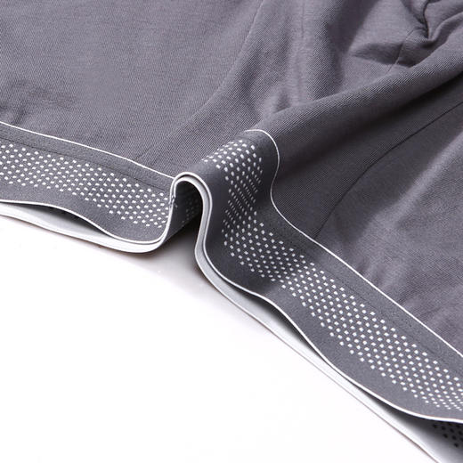 都市丽人都市锋尚简约基础内裤男40S棉拉架男士内裤平角内裤FK4CB2 商品图5