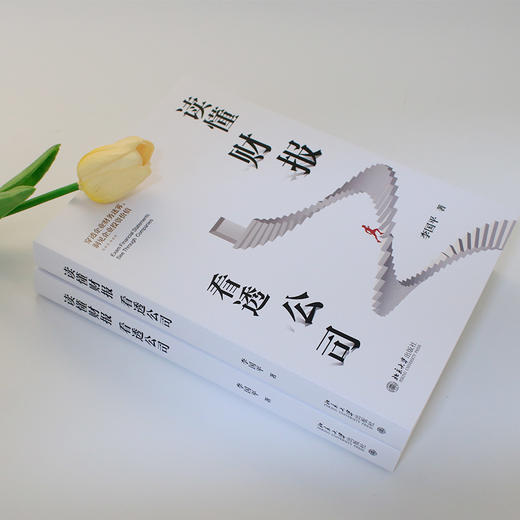 读懂财报，看透公司？ 中央财大教授力作(李国平 著) 商品图4