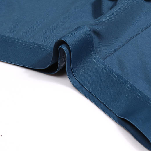 都市丽人都市锋尚简约基础内裤男40S棉拉架男士内裤平角内裤FK4CC1 商品图5