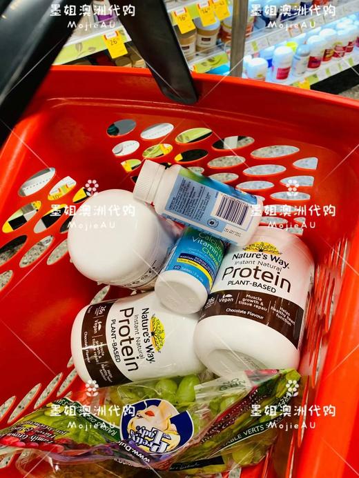 Nature's Way佳思敏植物蛋白粉老人住院病人孕妇375g 商品图2