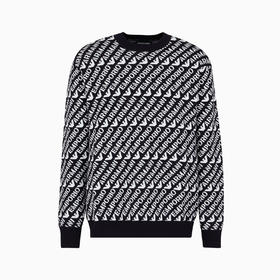 EMPORIO ARMANI 阿玛尼 男士通体提花徽标字样初剪羊毛混纺针织衫 混色 6R1MU2 1MMKZ F905