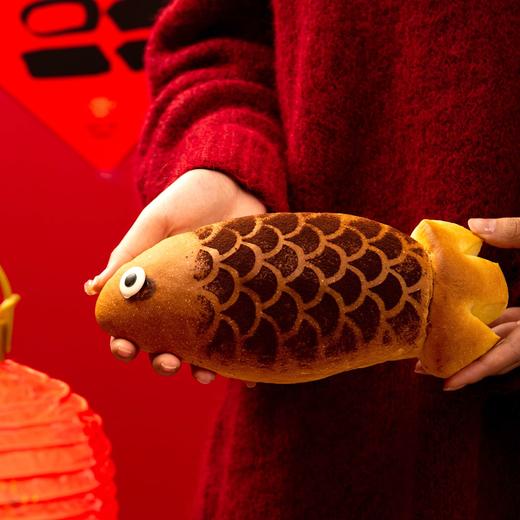 锦鲤跃龙门 商品图0