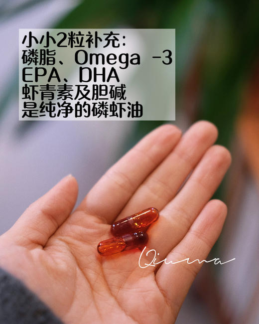 法国Dynveo南极磷虾油omega3虾青素鱼油胶囊呵护心xue管健康EPA 商品图3
