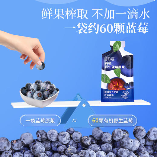 【超模君精选 通过711项检测】圣牧源选 有机野生蓝莓原浆30ml*7袋*2盒 源选检测 1袋≈60颗野生蓝莓 商品图3