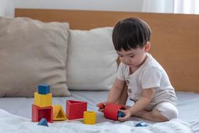 木质积木界中的颜值天花板 plantoys