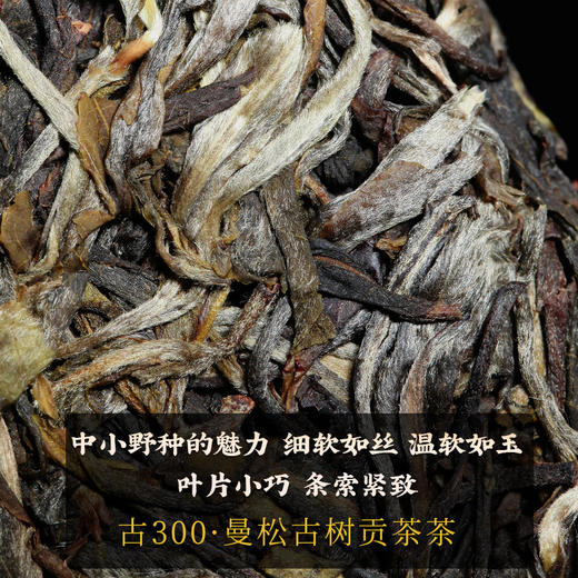 2024春茶-古300系列《曼松》春茶生饼2499克/提 买1提送1饼 商品图5