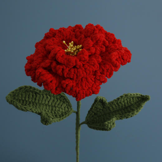 手工编织<春节元素花束> 商品图5