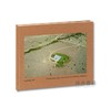 Topographies: Aerial Surveys of the American Landscape / 地形:美国景观的航空勘测 商品缩略图1