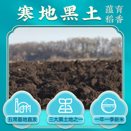 袁谷农场隆平芯米五常凝玉香5kg东北五常大米粳米共10斤真空装25年新米 商品图1