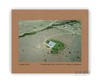 Topographies: Aerial Surveys of the American Landscape / 地形:美国景观的航空勘测 商品缩略图0