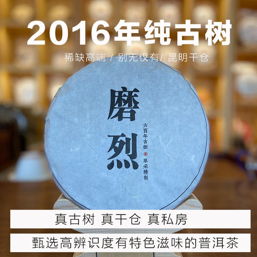2016年磨烈古树普洱茶生茶七子饼400克 商品图0
