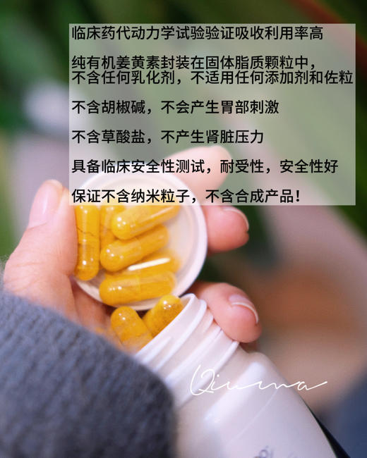 护关节｜法国Dynveo姜黄素粉胶囊高含量有机肝脏C3非黑胡椒 商品图1