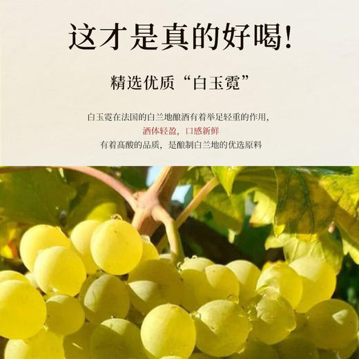 法国进口法尼珍露·蓝轩1875白兰地XO单支礼盒洋酒40%vol 商品图5