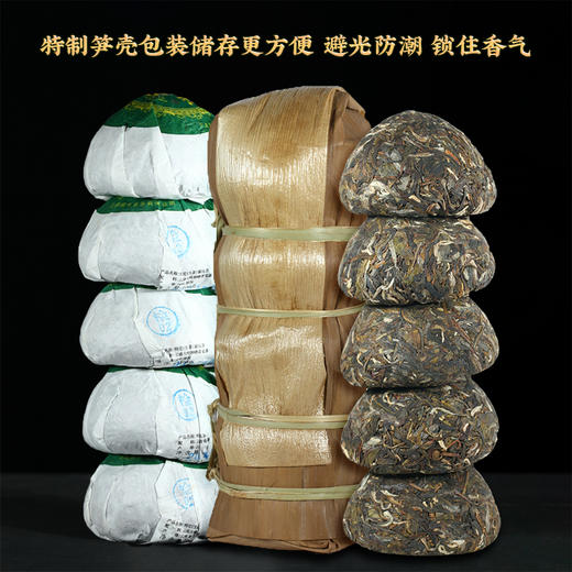 2024春茶-南糯山春茶《甲沱》生茶沱茶100克*5沱 买2提送1沱 商品图4