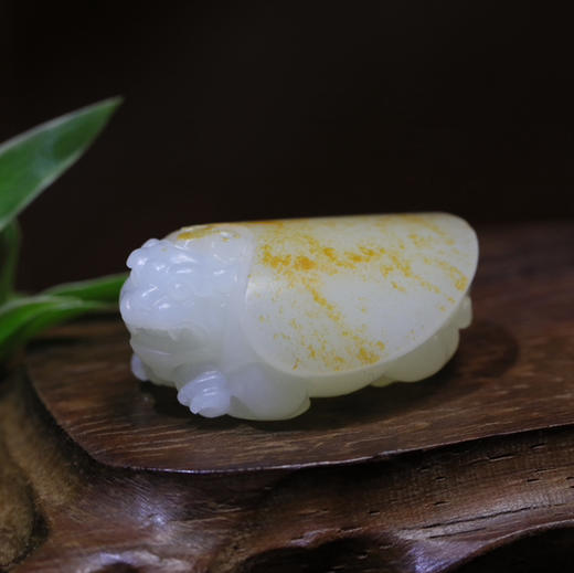 和田玉（羊脂白玉）挂件-- 龙龟 28.97g 商品图0