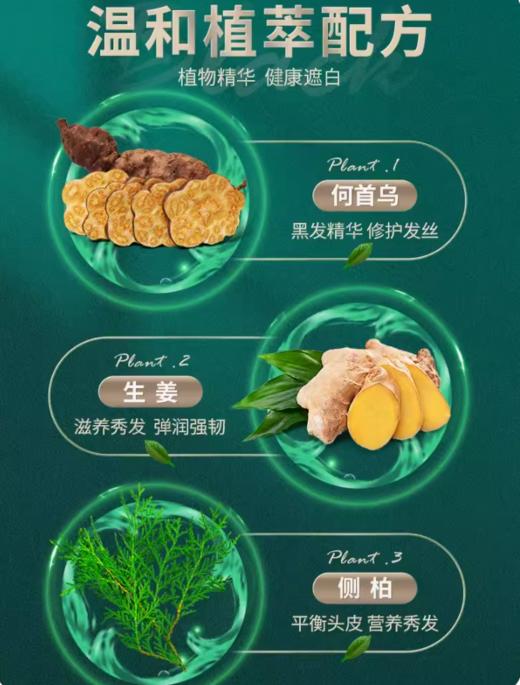植物染发露丨洗头就是染发！染完头发是清水！非物质文化遗产 商品图2