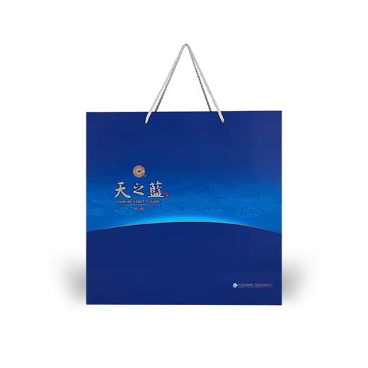 洋河天之蓝品牌白酒礼盒46度480ml*2瓶口感绵柔浓香型白酒商务纯粮酿造 商品图3