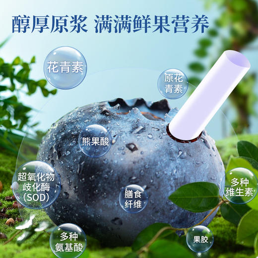 【超模君精选 通过711项检测】圣牧源选 有机野生蓝莓原浆30ml*7袋*2盒 源选检测 1袋≈60颗野生蓝莓 商品图5